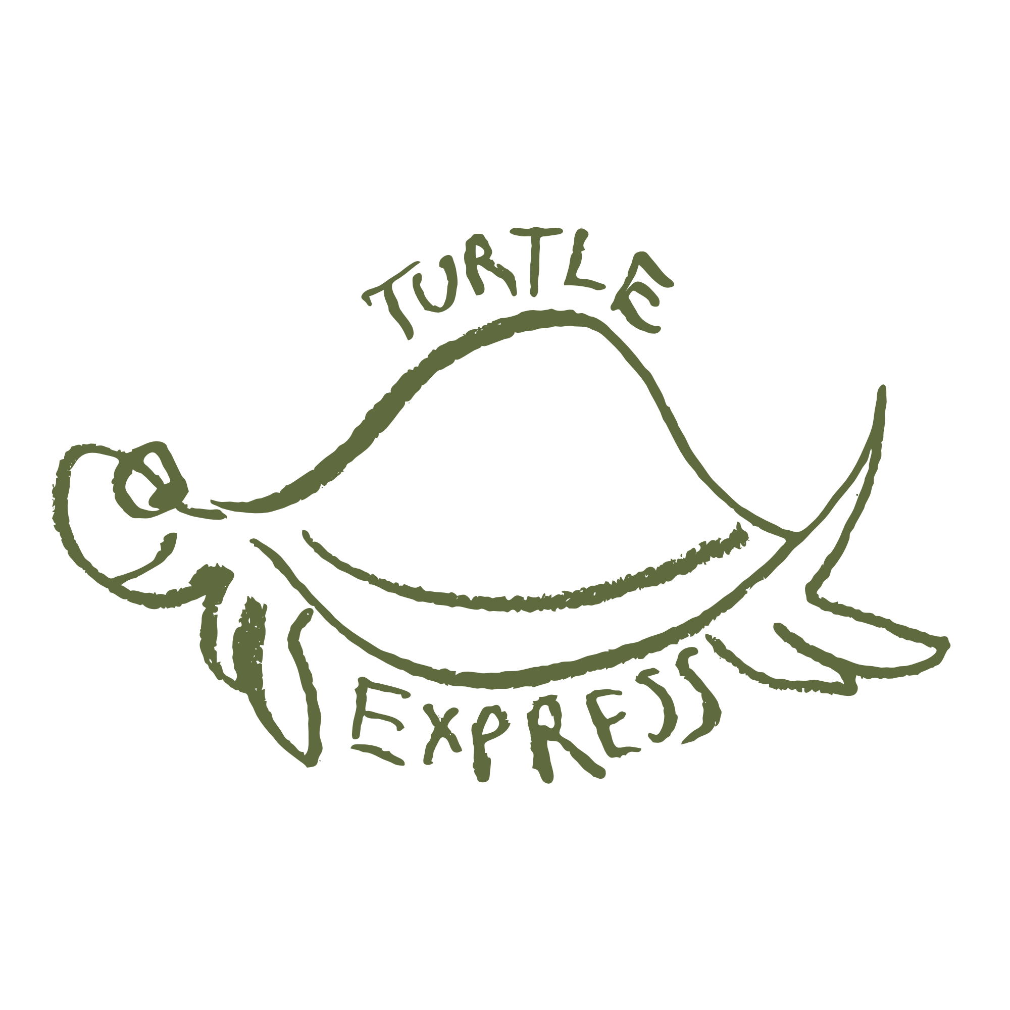 Turtle Express | Human-made art sent through the mail.
